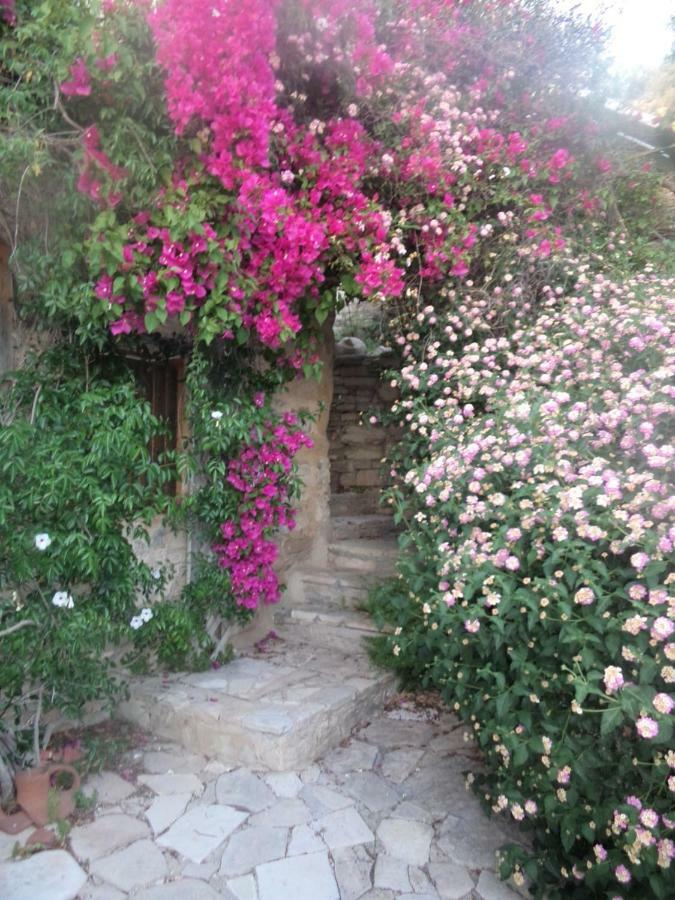 Oleander Stone House Vila Lemona Exterior foto